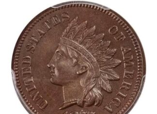 1877-indian-cent